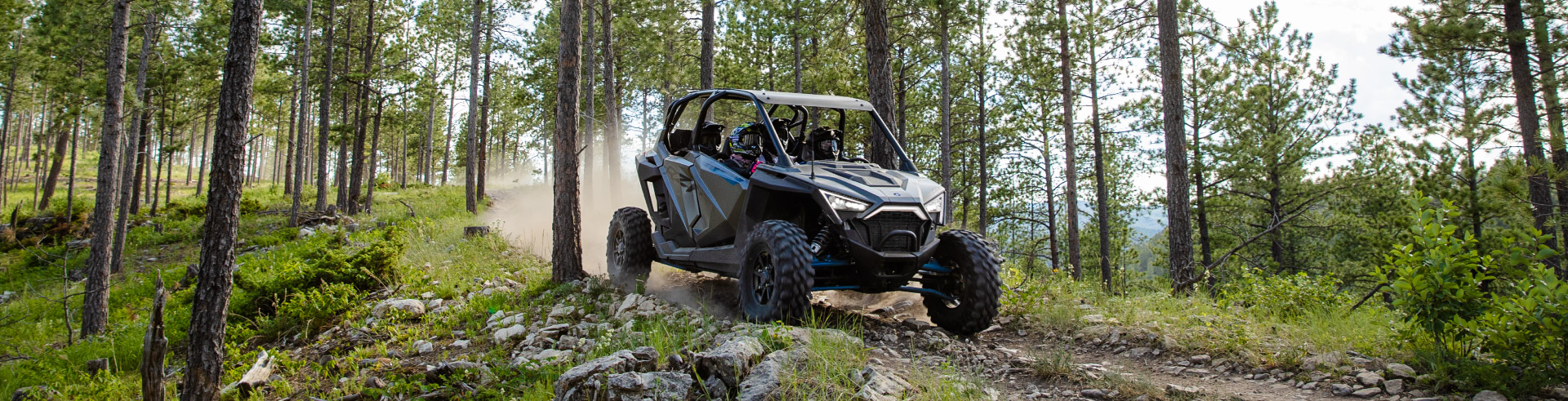 Polaris RZR