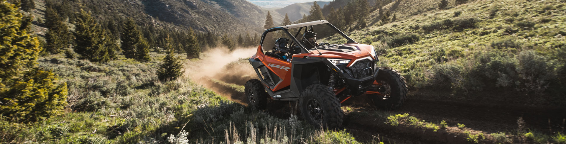 Polaris RZR